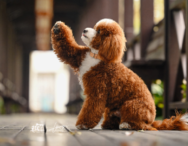 养了一个月AI宠物，我看清了这门“新生意”的真相