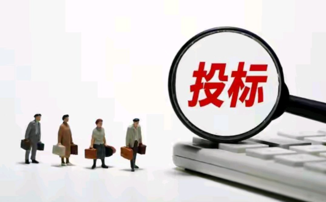 千万级政府项目的“隐形棋局”：一场在规则内进行的定向狩猎