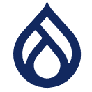 Drupal 是面向开发者的高级CMS，适合构建复杂内容架构和高并发访问需求的大型网站和政府平台。