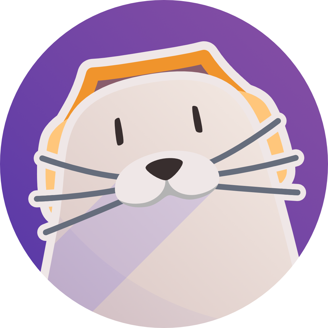 Phocid – 基于 Material Design 的现代离线 Android 音乐播放器