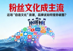 粉丝文化成主流：这场 “自造文化” 浪潮，品牌该如何借势破圈？