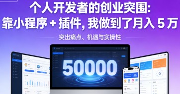 个人开发者的创业突围：靠小程序 + 插件，我做到了月入 5 万